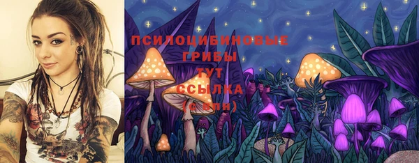 гидропоника Алексеевка