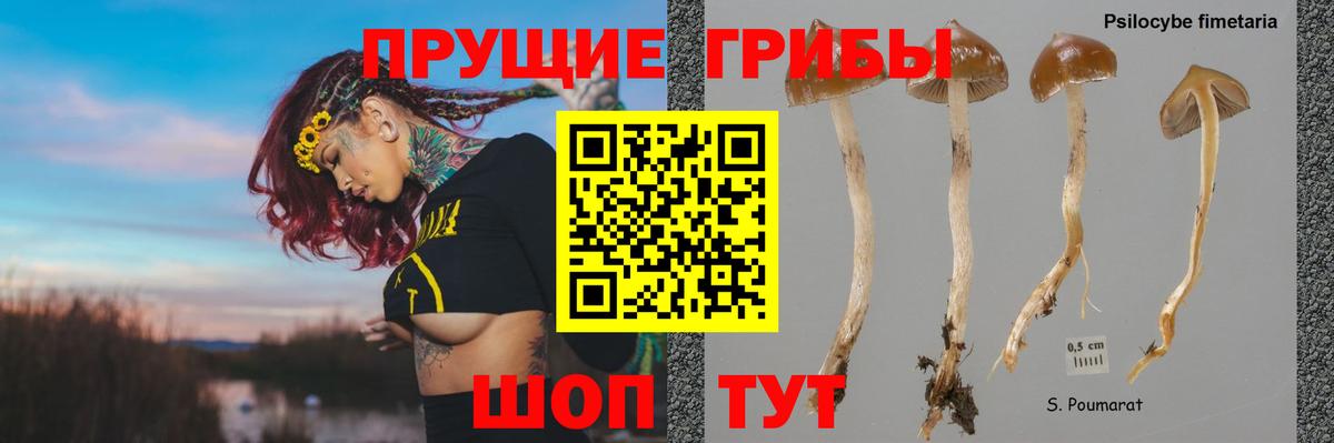 Псилоцибиновые грибы прущие грибы Краснокамск